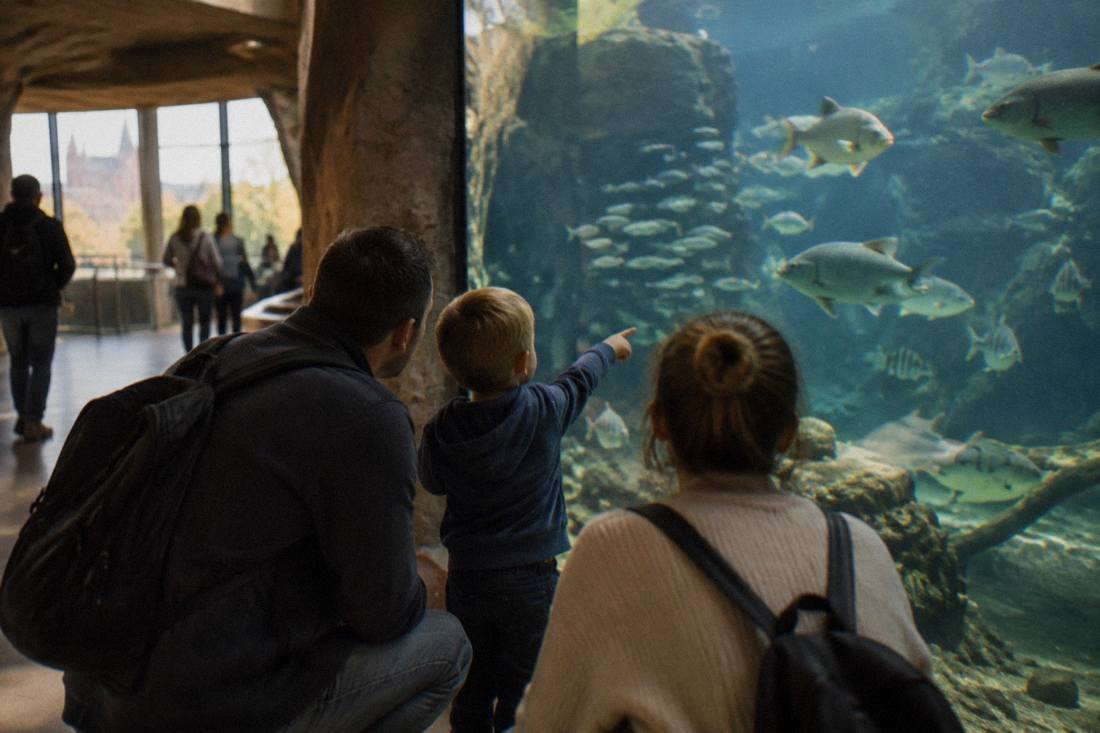 A family with a child pointing at a large glass aquarium tank full of fish in a modern indoor zoo pavilion