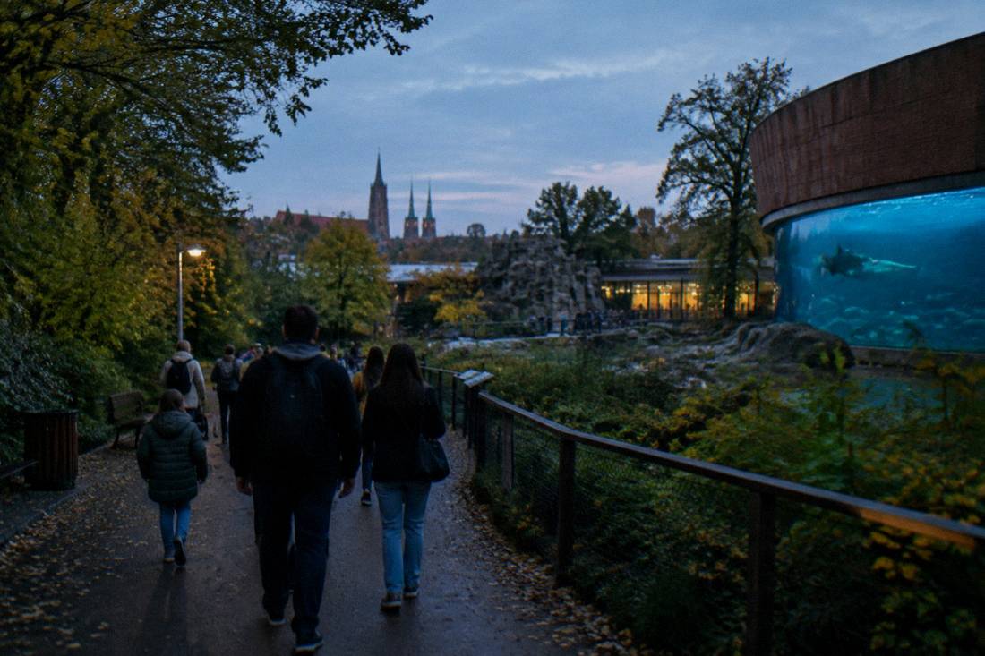 Visitors walking a leafy path inside the Wroclaw zoo grounds