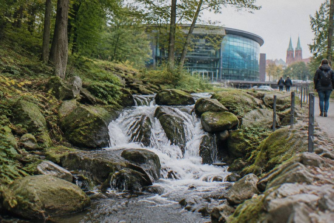 Water falling over mossy rocks in a mountain stream surrounded by forest
