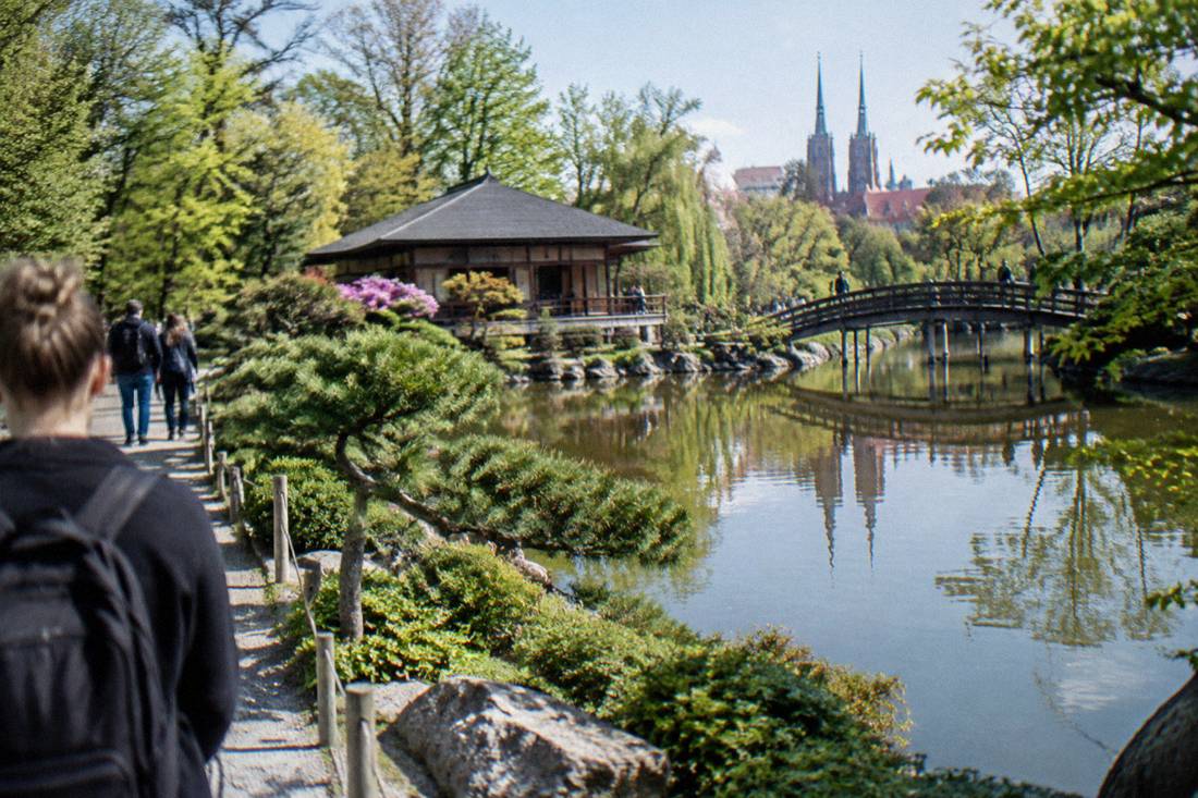Spring greenery and a still pond reflecting trees in the Japanese Garden in Wroclaw