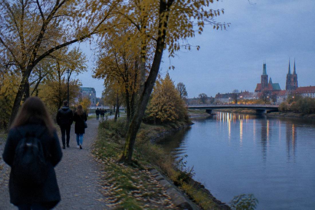 Autumn trees on a river island with yellow leaves, a calm river channel and a bridge in the distance
