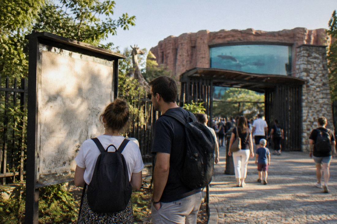 Visitors checking a sign with opening hours beside a zoo gateway in late afternoon light