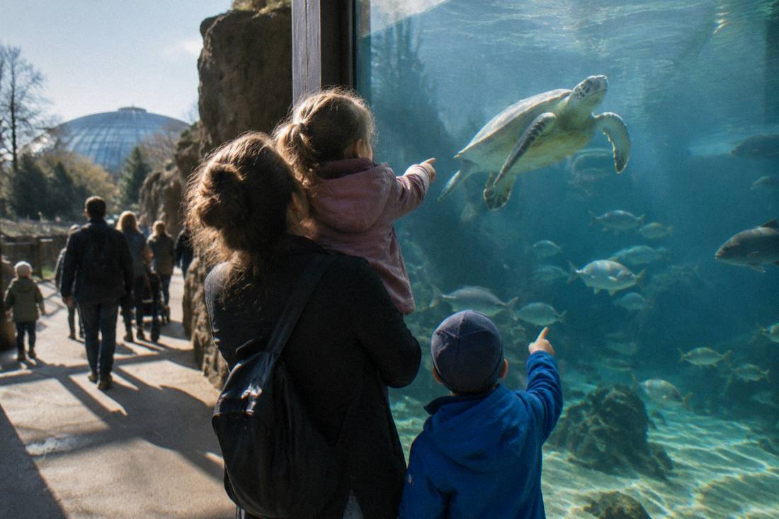 Children pointing at a large glass aquarium wall while a parent lifts one of them up to see