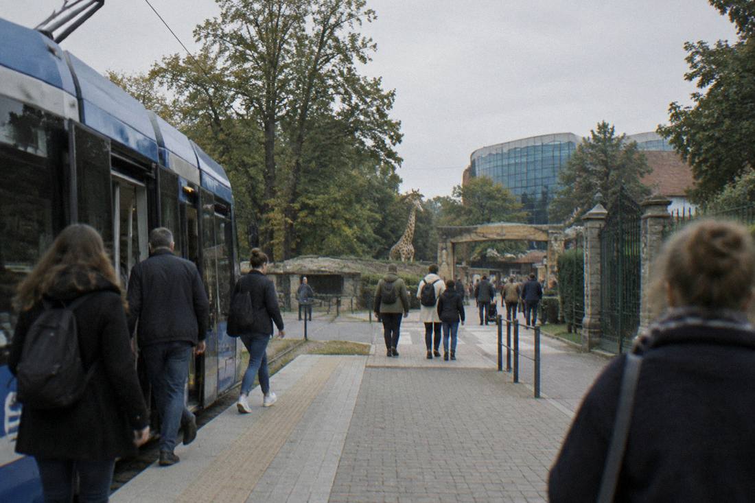A tram stopped at a city stop with passengers stepping off near a park entrance