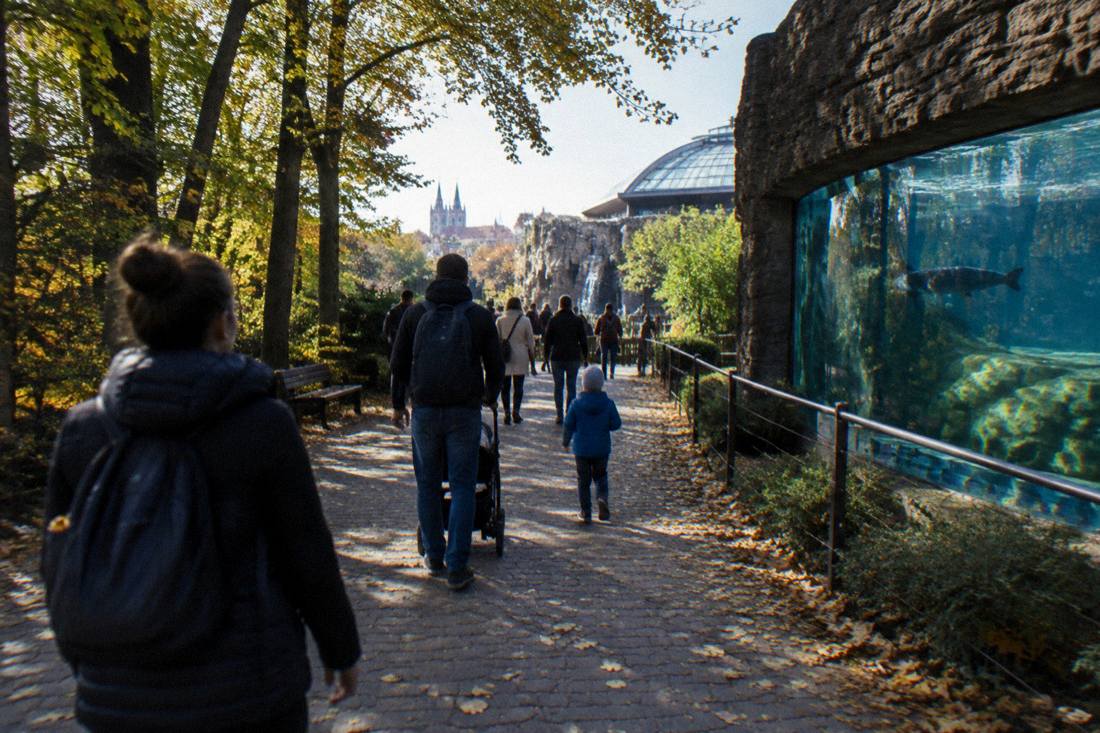 A zoo walkway shaded by trees in early autumn with fallen leaves along the path