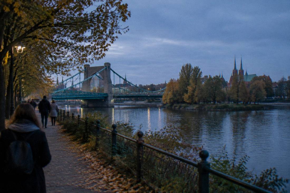 Trees along a path beside the Odra river in Wroclaw in autumn color