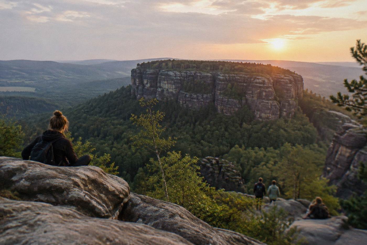 Sandstone rock formations rising above a forested plateau in the Table Mountains