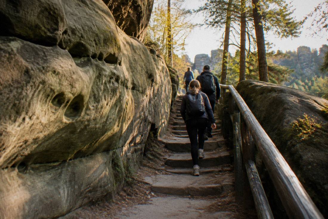 A carved stone stairway climbing between smooth sandstone walls on a forest trail