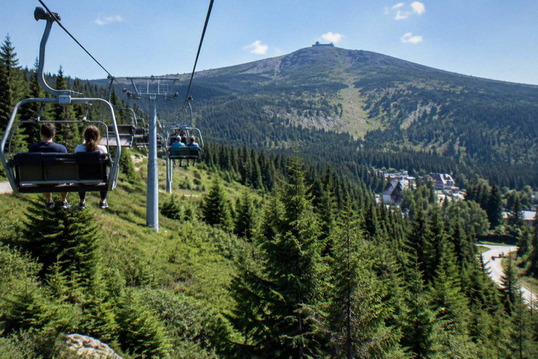 A chairlift carrying visitors up a green forested mountainside