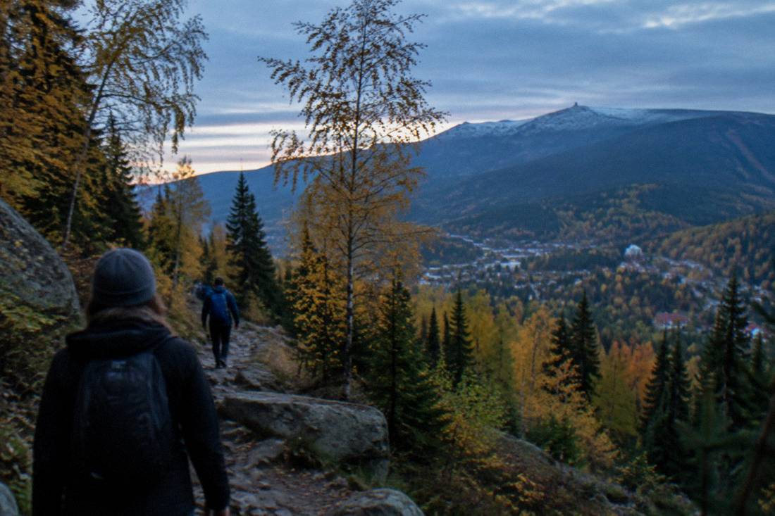 Autumn forest trail with golden trees on a mountain slope