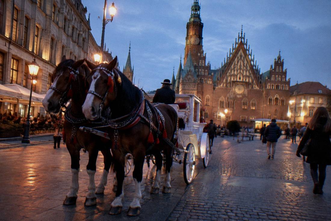 Horse-drawn carriage waiting beside a historic square in warm evening light