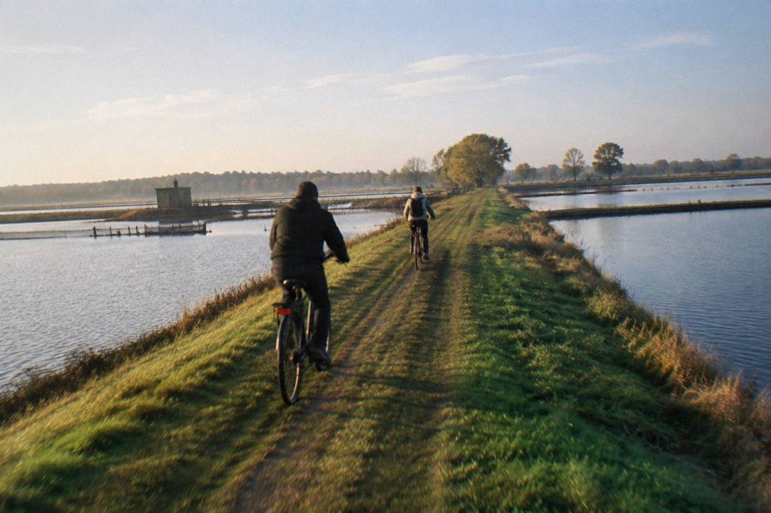 Two cyclists riding along a grass dyke path between two large fish ponds