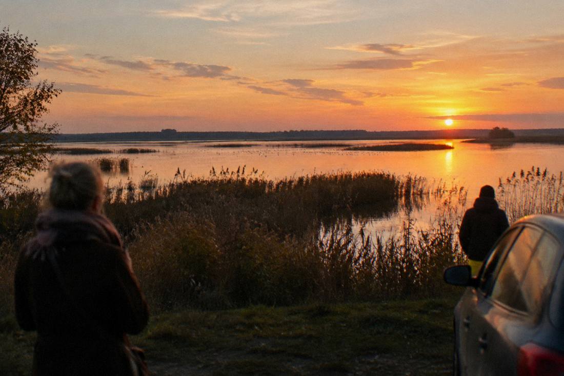 Sunset colors over a wide pond with silhouetted reeds and an open horizon