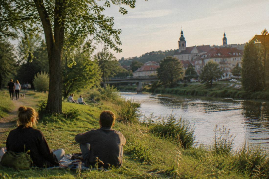 A wooded riverside meadow on the edge of a small Polish town