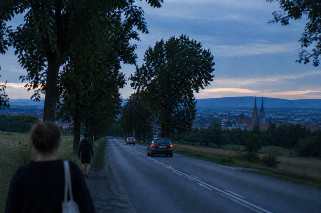 A rural road lined with trees in summer leading toward distant hills