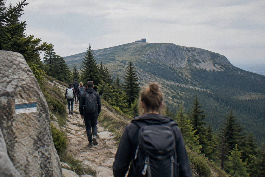 Hikers on a marked mountain trail above pine forests with a rocky ridge in the distance