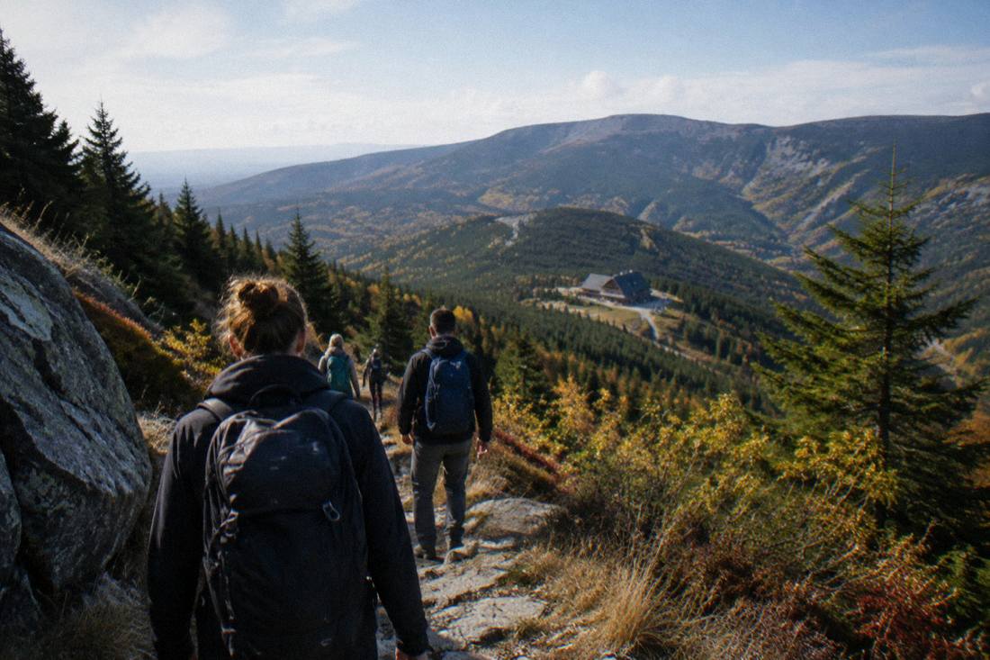 Hikers on a trail in the Giant Mountains of Lower Silesia with pine forest slopes
