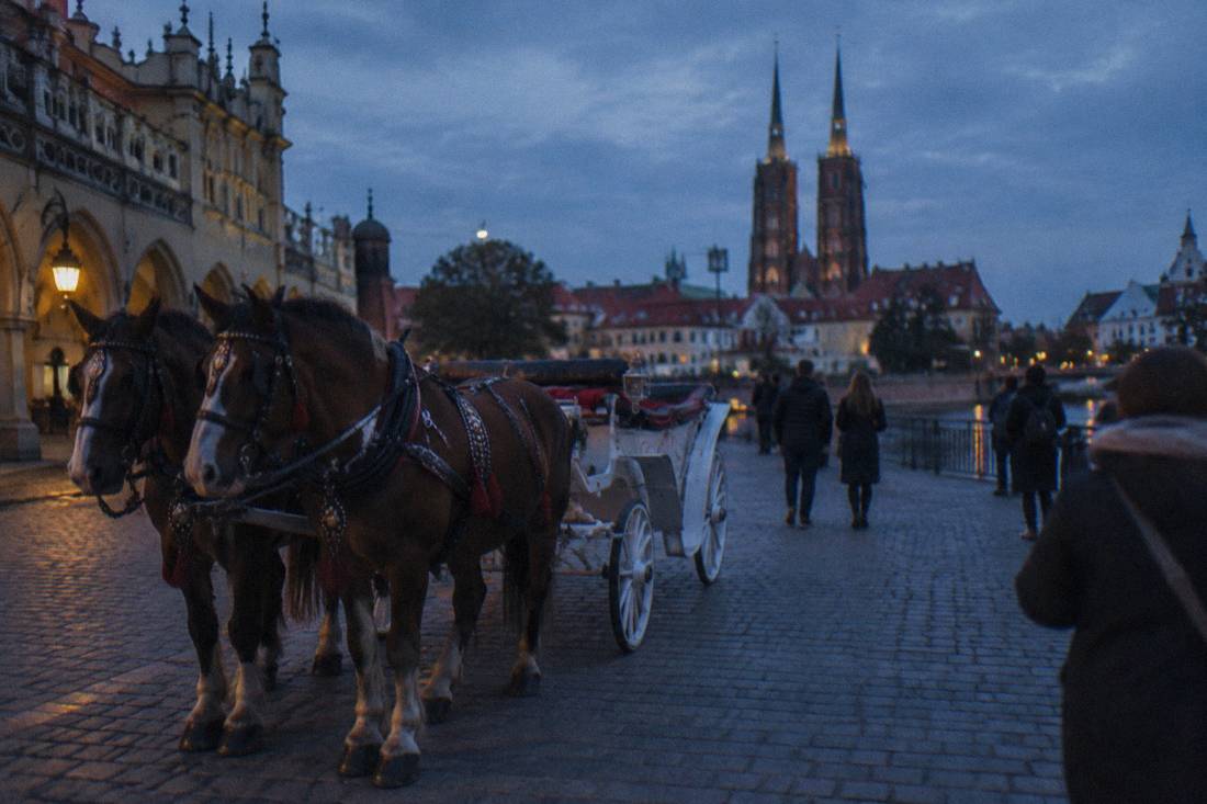 A horse-drawn carriage waiting beside a historic square in the evening light