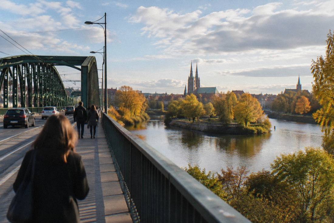 Autumn trees along the Odra riverbank in Wroclaw under a partly cloudy sky