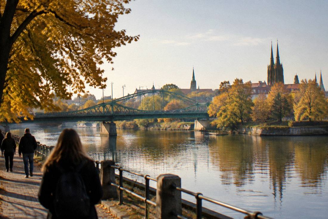 Autumn trees along the Odra riverbank in Wroclaw with golden leaves and a bridge