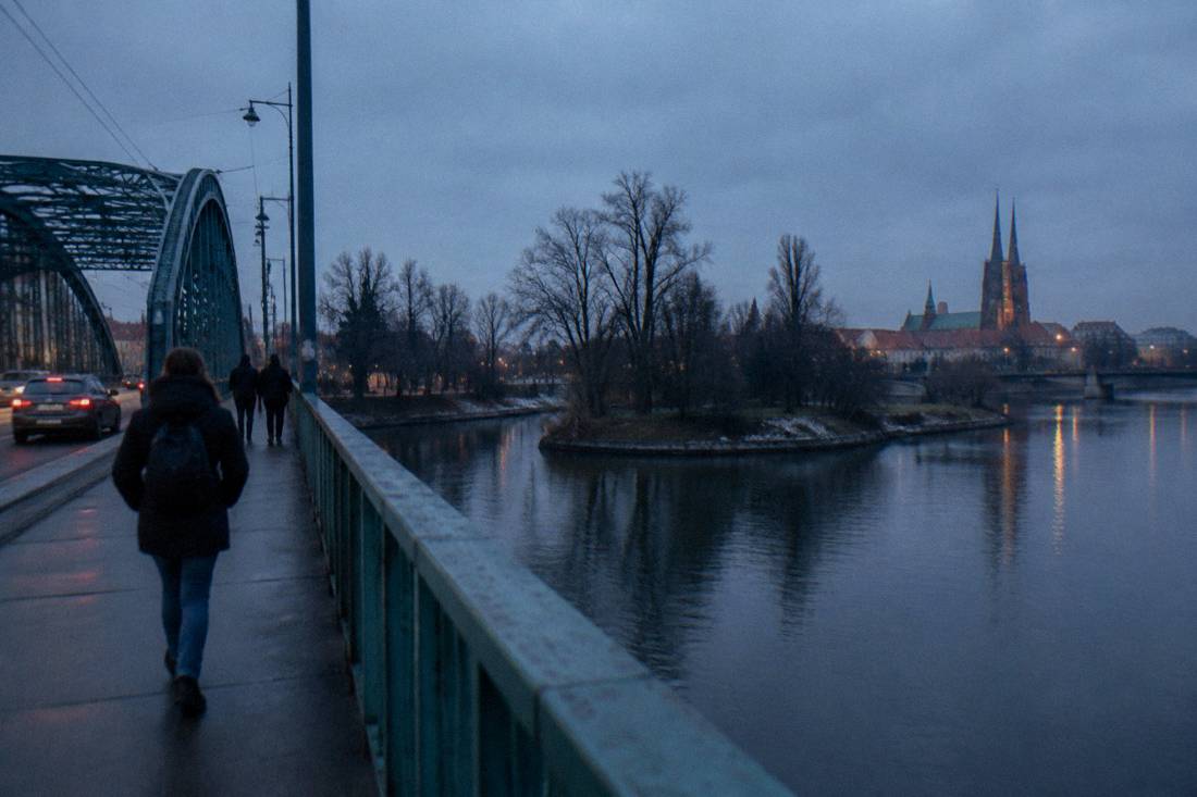 Bare winter trees along the Odra river in Wroclaw under a grey sky