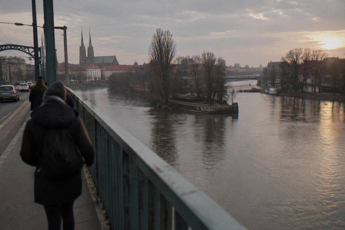 Bare trees along the Odra riverbank in Wroclaw under a grey winter sky, with bridge railings in the foreground.